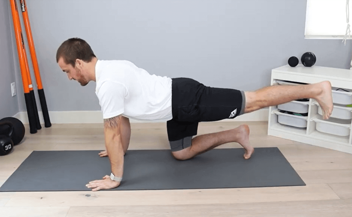 HIP Extension